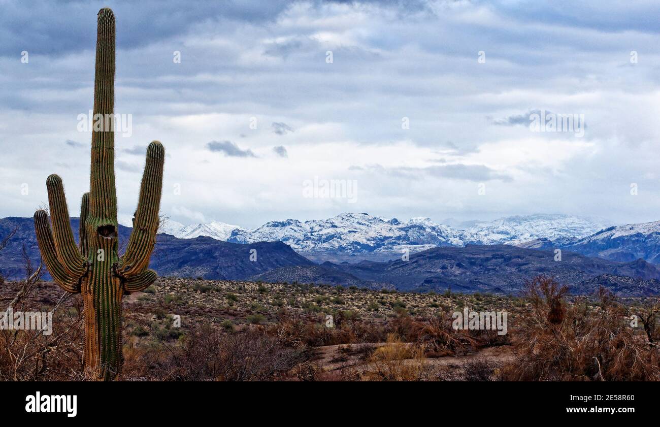 Schneebedeckte Berge Hintergrund in der Wüste Stockfoto