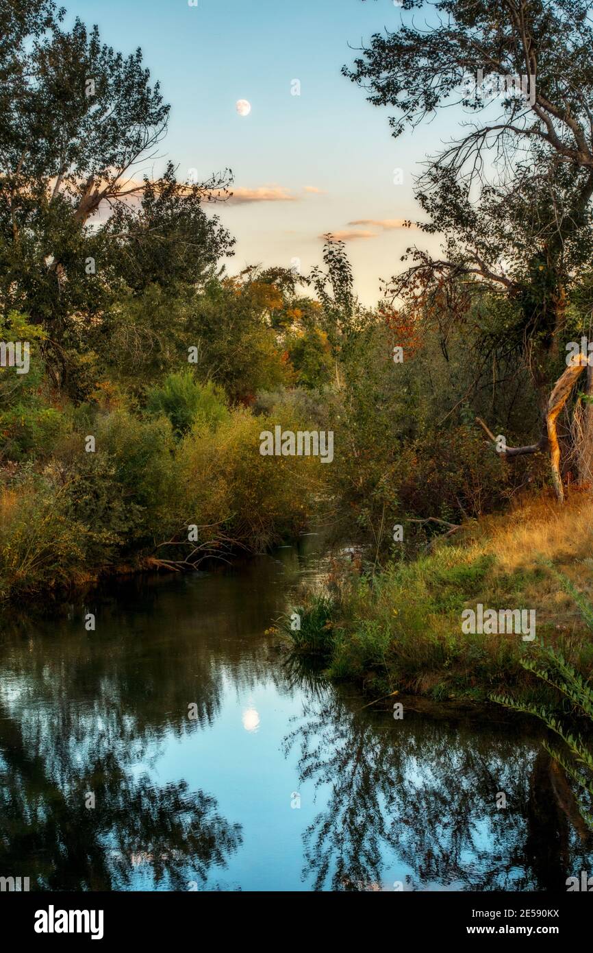 Mondaufgang über Logger Creek entlang des Boise Greenbelt von Idaho. Stockfoto