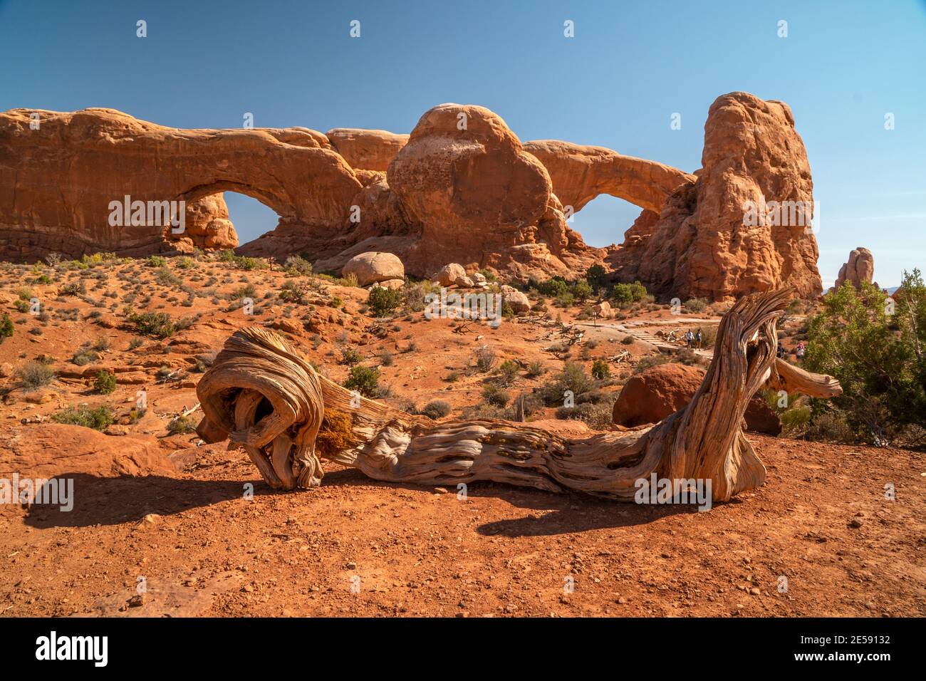 Nordfenster und Südfenster in der Windows-Sektion im Arches National Park, Utah, USA Stockfoto