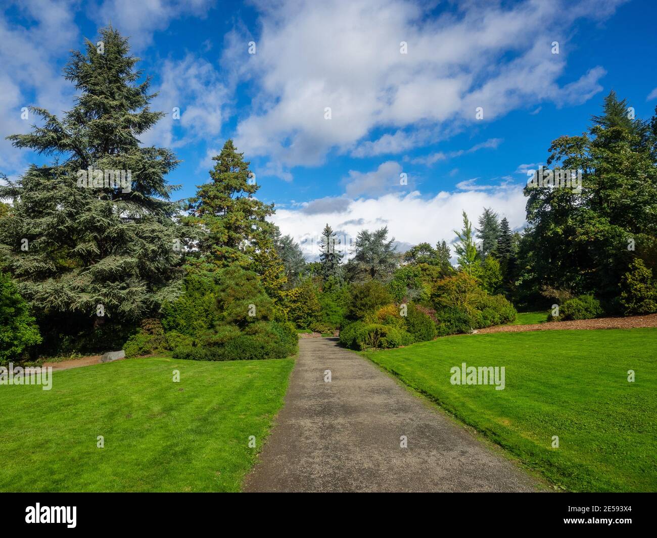 Kubota Garden ist ein 20-Acre (81,000 m²) japanischer Garten im Rainier Beach Viertel von Seattle, Washington. Hauptmerkmale des Kubota-Gartens i Stockfoto