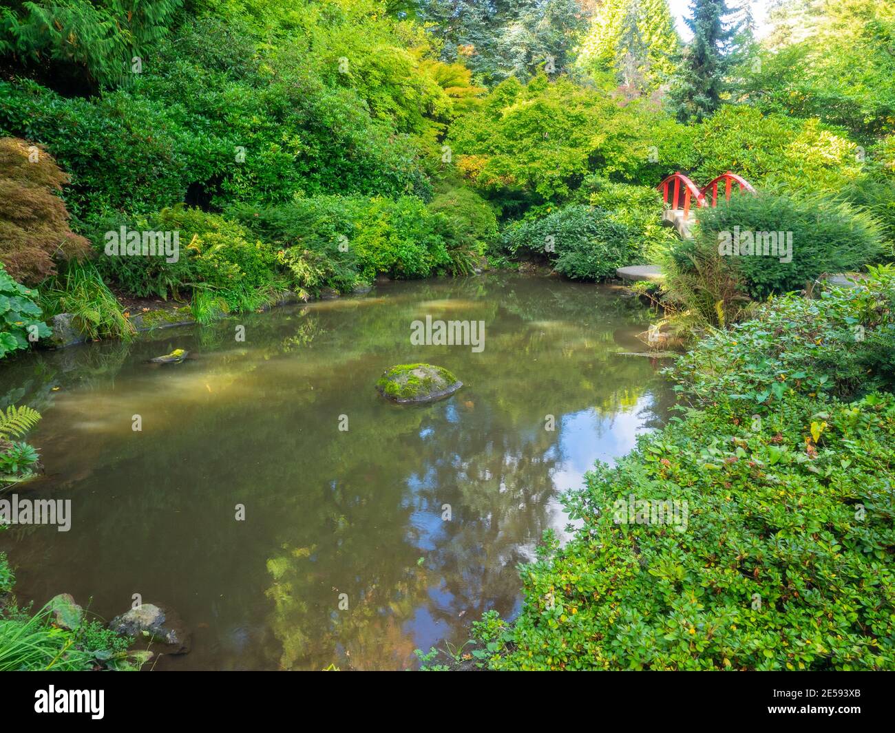 Kubota Garden ist ein 20-Acre (81,000 m²) japanischer Garten im Rainier Beach Viertel von Seattle, Washington. Hauptmerkmale des Kubota-Gartens i Stockfoto