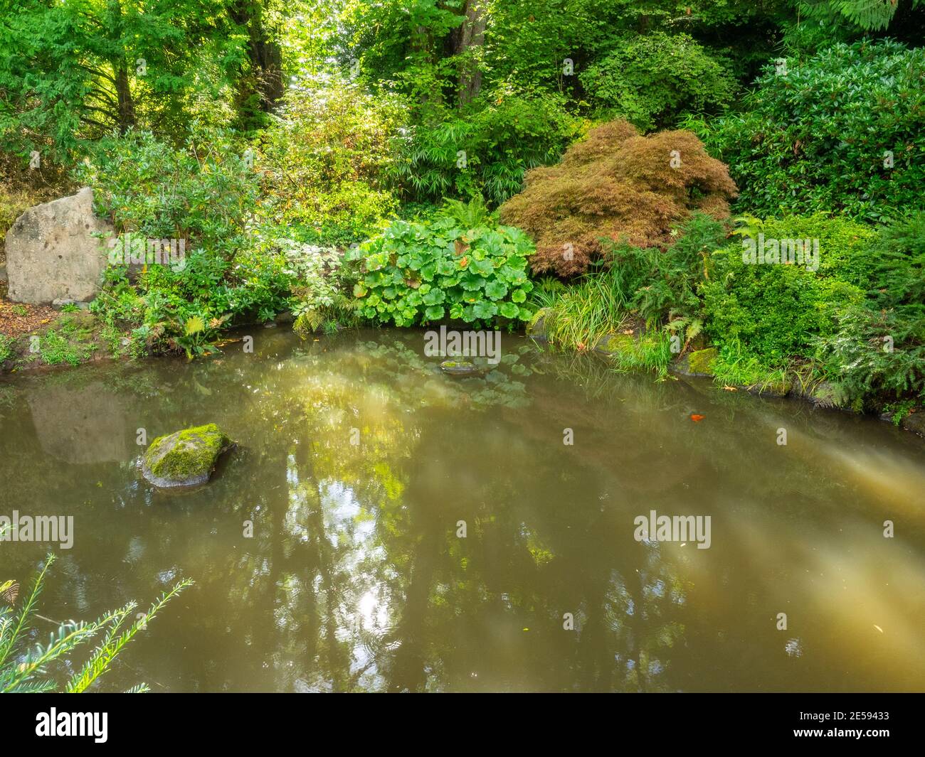 Kubota Garden ist ein 20-Acre (81,000 m²) japanischer Garten im Rainier Beach Viertel von Seattle, Washington. Hauptmerkmale des Kubota-Gartens i Stockfoto