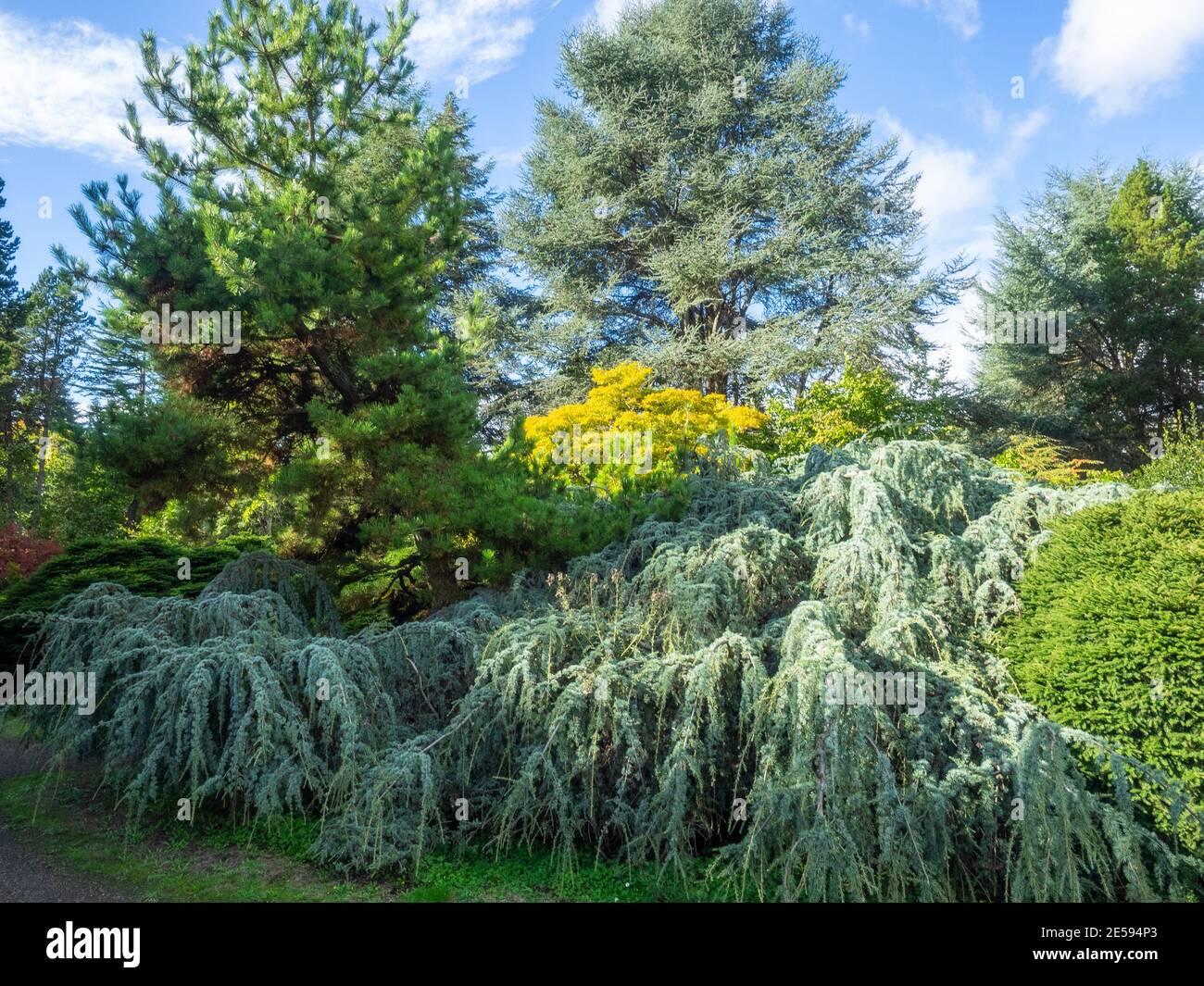 Kubota Garden ist ein 20-Acre (81,000 m²) japanischer Garten im Rainier Beach Viertel von Seattle, Washington. Hauptmerkmale des Kubota-Gartens i Stockfoto