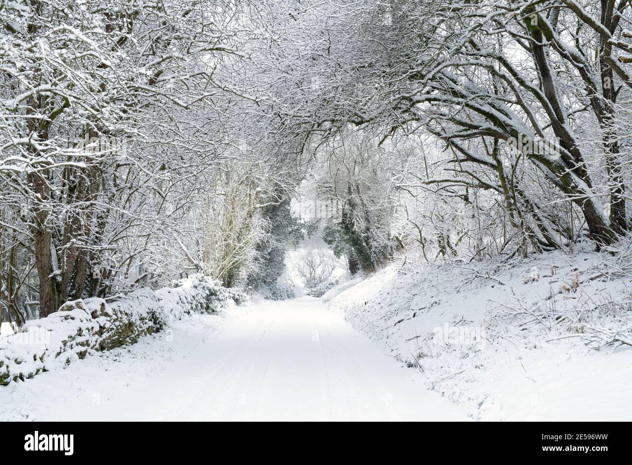 Landstraße und Bäume bei Swinbrook im Schnee. Swinbrook, Cotswolds, Oxfordshire, England Stockfoto