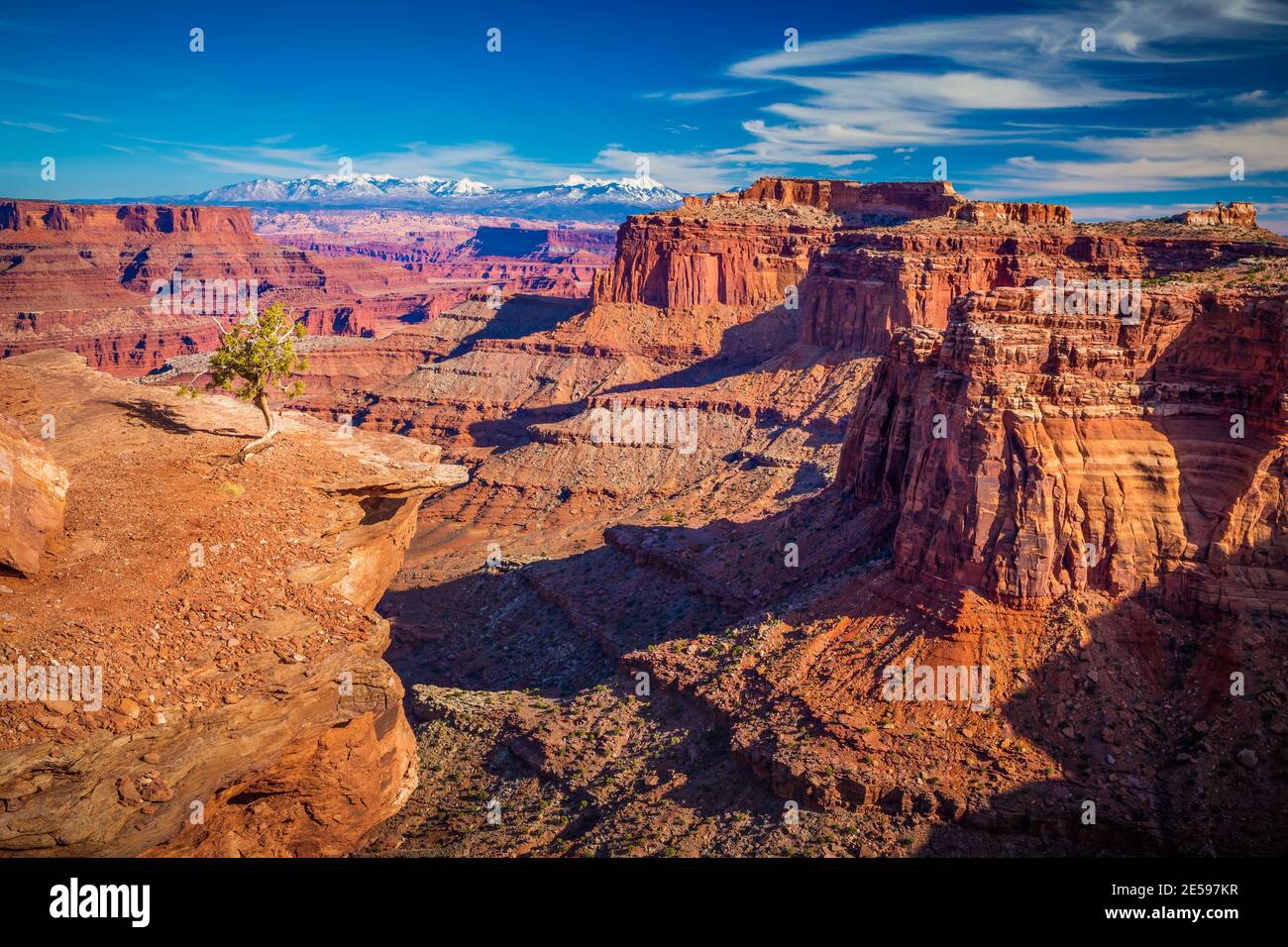 Canyonlands Nationalpark ist ein US-Nationalpark befindet sich im Südosten von Utah in der Nähe der Stadt Moab. Stockfoto