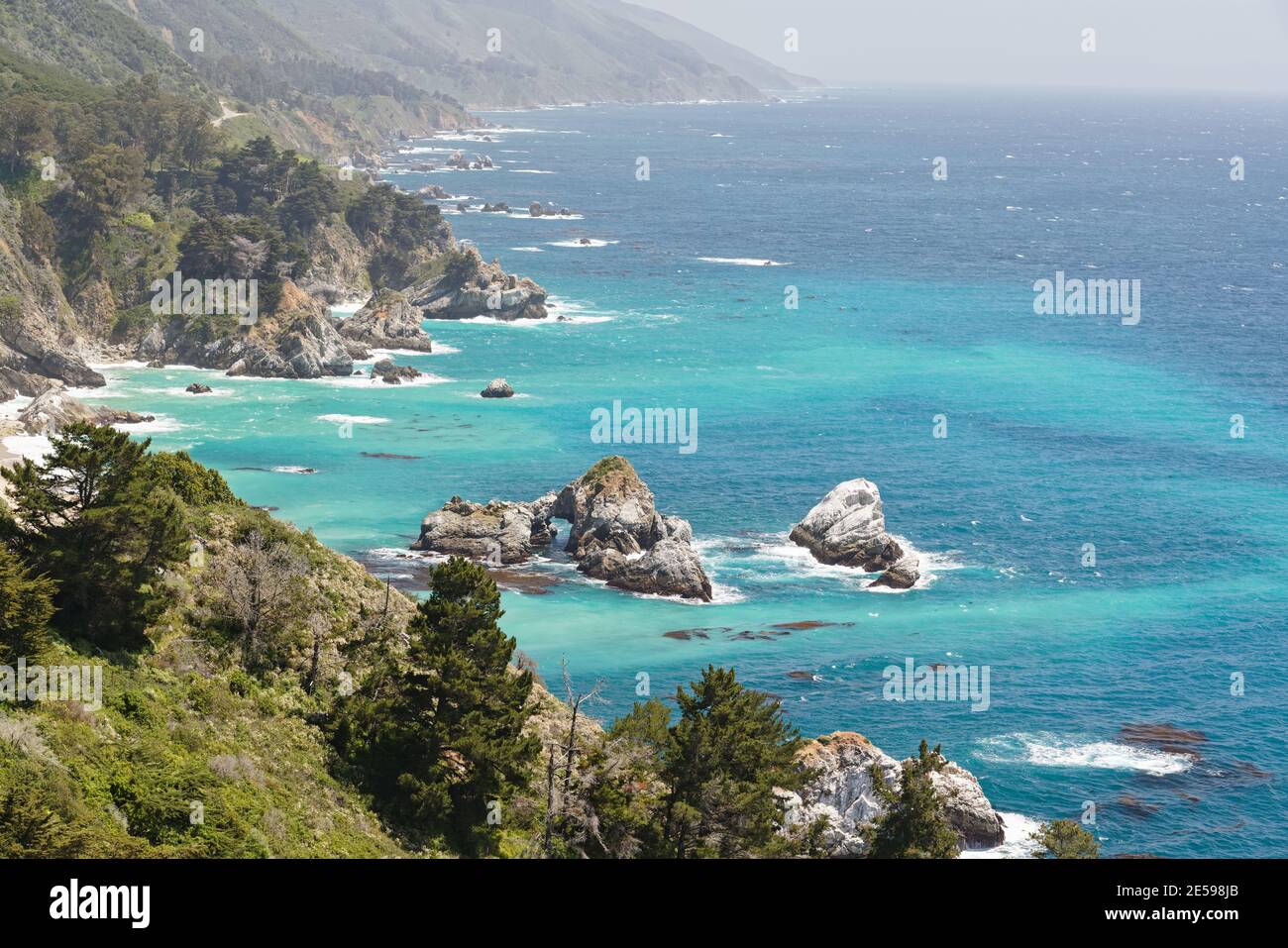 Big Sur, Monterey County, Kalifornien. Pazifik, Klippen und einheimische Pflanzen am Strand. Stockfoto