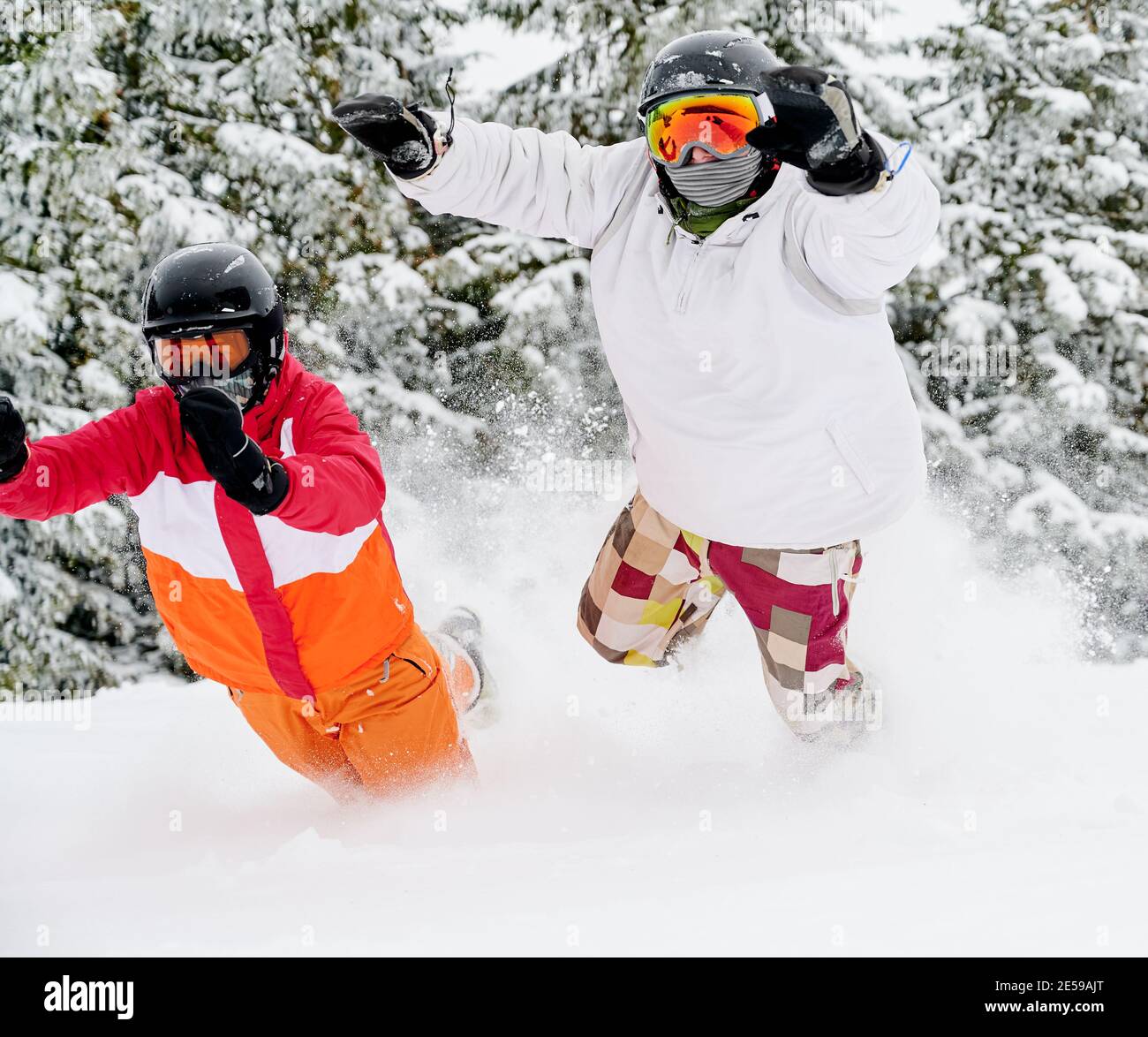 Junges Paar Touristen spielerisch fallen in Schnee vor entzückenden Fichtenwald im Hintergrund. Lebendige bunte Anzüge auf weißem Schnee. Europäisches Skigebiet im Winter. Nahaufnahme Stockfoto