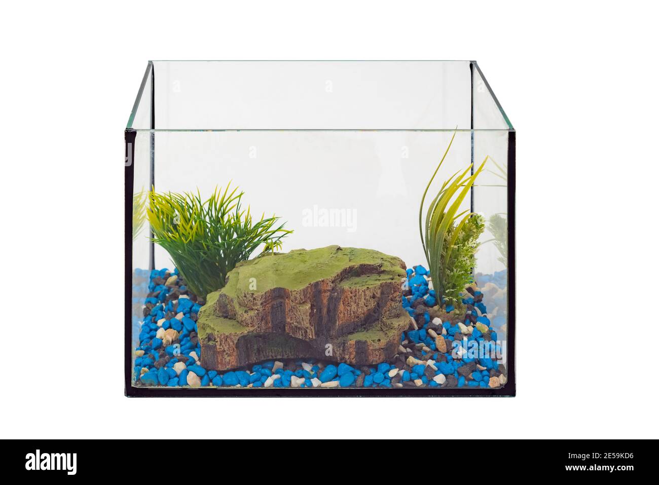 Aquarium ohne Wasser und Fische auf weißem Hintergrund. Leere  Fischschüssel. Niemand Stockfotografie - Alamy