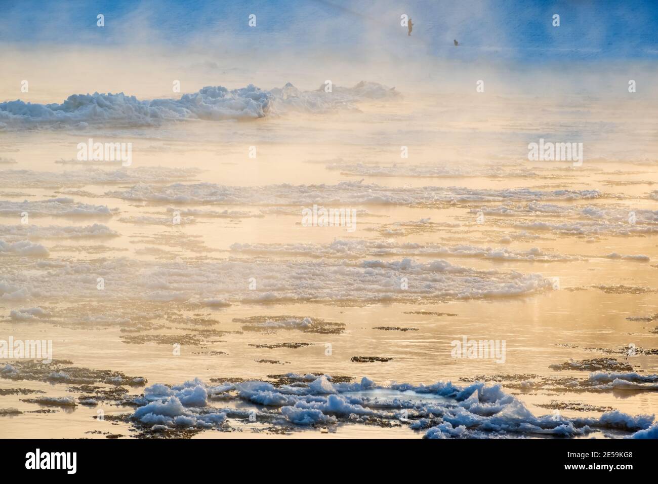 Schmelzen rissiges Eis fließt den Fluss hinunter an einem nebligen Morgen. Neblige Wasseroberfläche am Ende des Winters. Eisdrift. Stockfoto