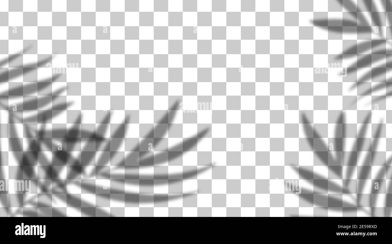 Vektor-Schatten-Overlay-Effekt. Transparentes weiches Licht und Schatten von Ästen, Pflanzen und Blättern. Modell aus transparentem Blattschatten und natürlichem Licht Stock Vektor