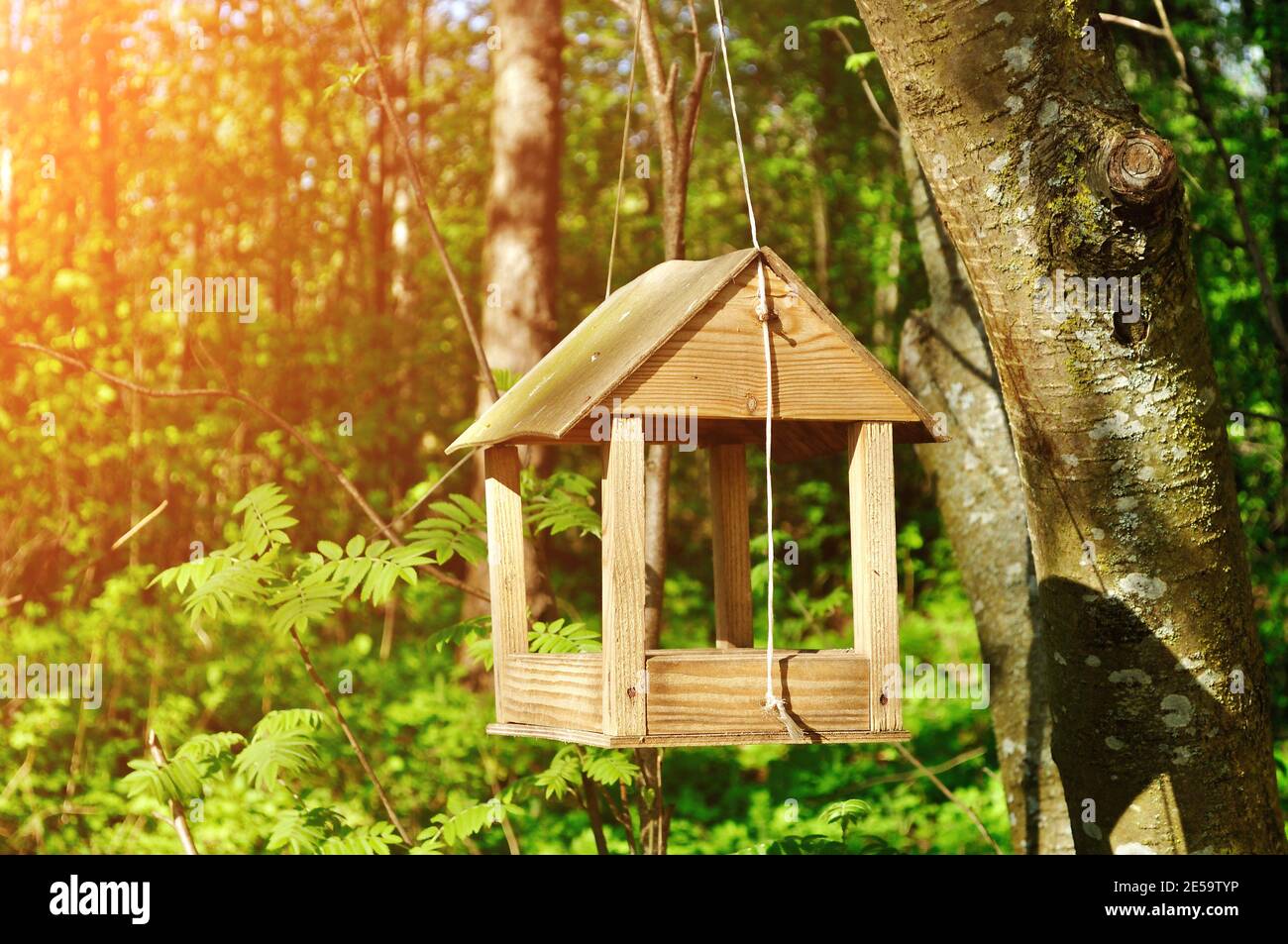 Handgemachtes Vogelfutterhäuschen aus Holz in Form eines kleinen Hauses, das im Wald am Seil aufgehängt ist. Stockfoto