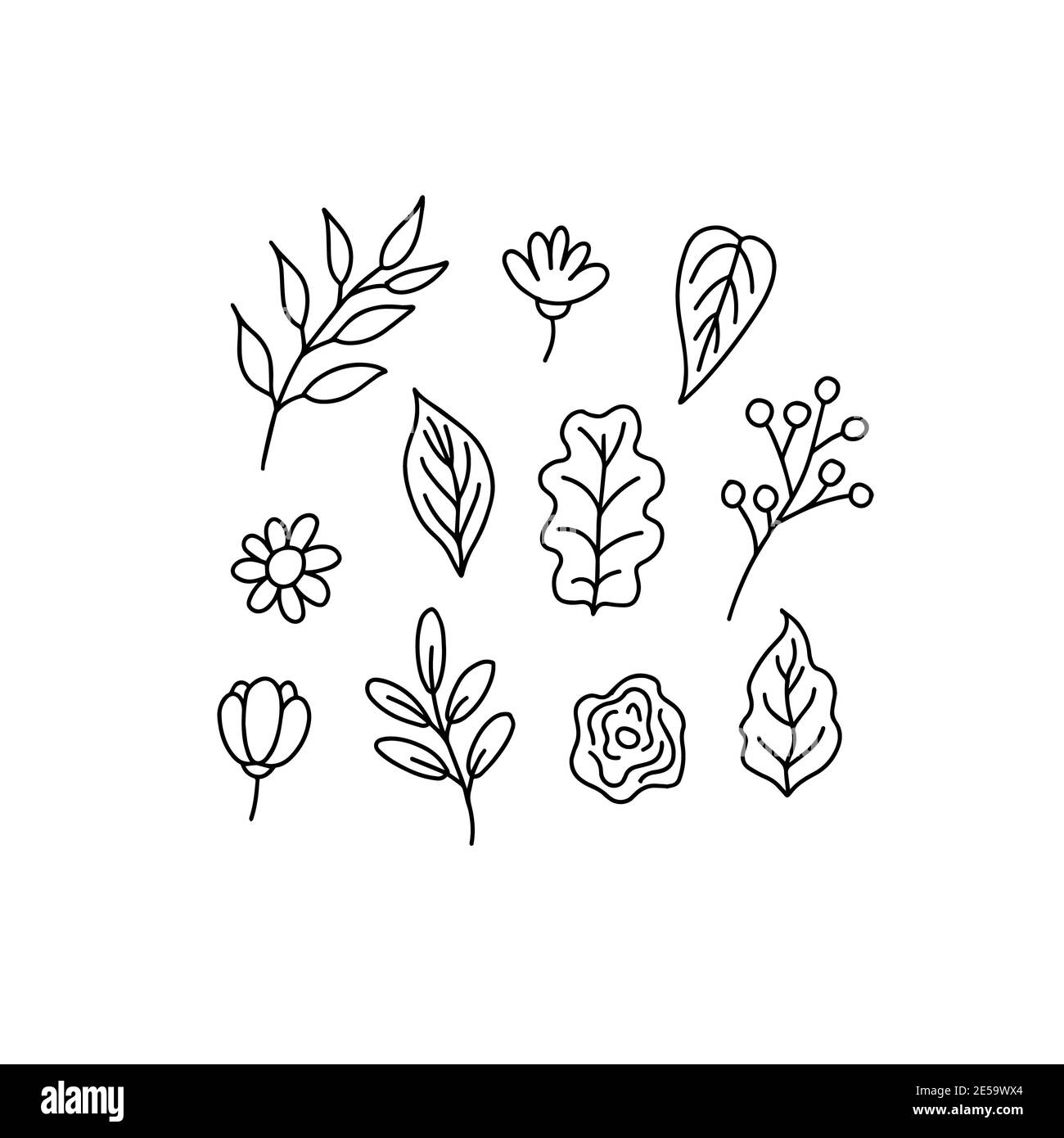 Handgezeichnete Blätter und Blumen Sammlung isolierte Elemente. Illustration Stockfoto