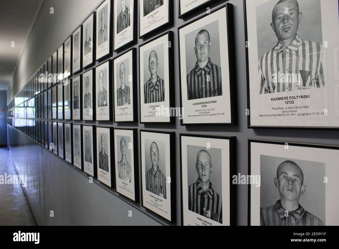 Fotografien an der Gedenkstätte Auschwitz-Birkenau (Polen) Stockfoto