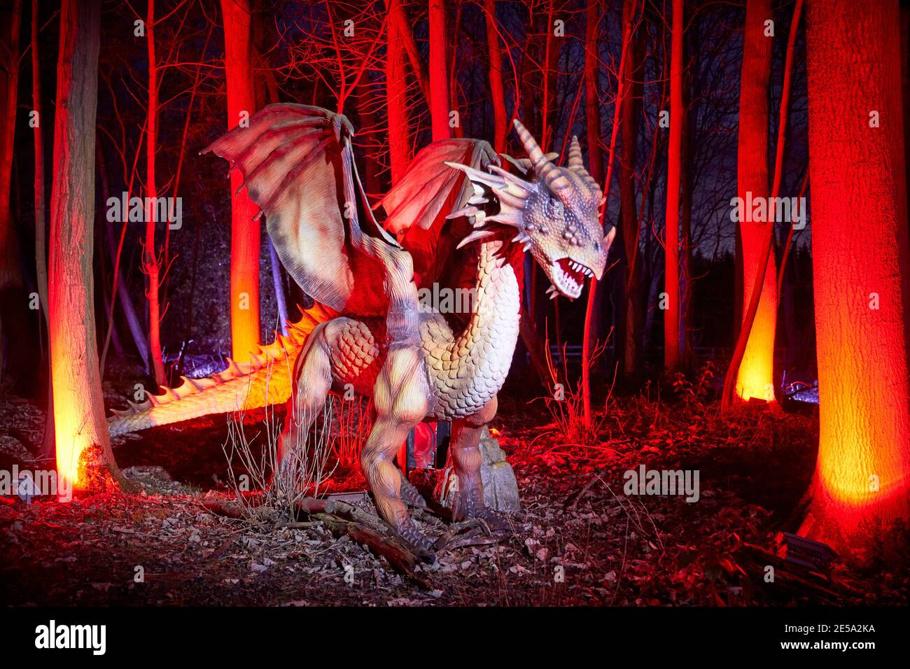 Enchanted Forest im Stockeld Park bei Wetherby ein großer Drache Im Wald Stockfoto