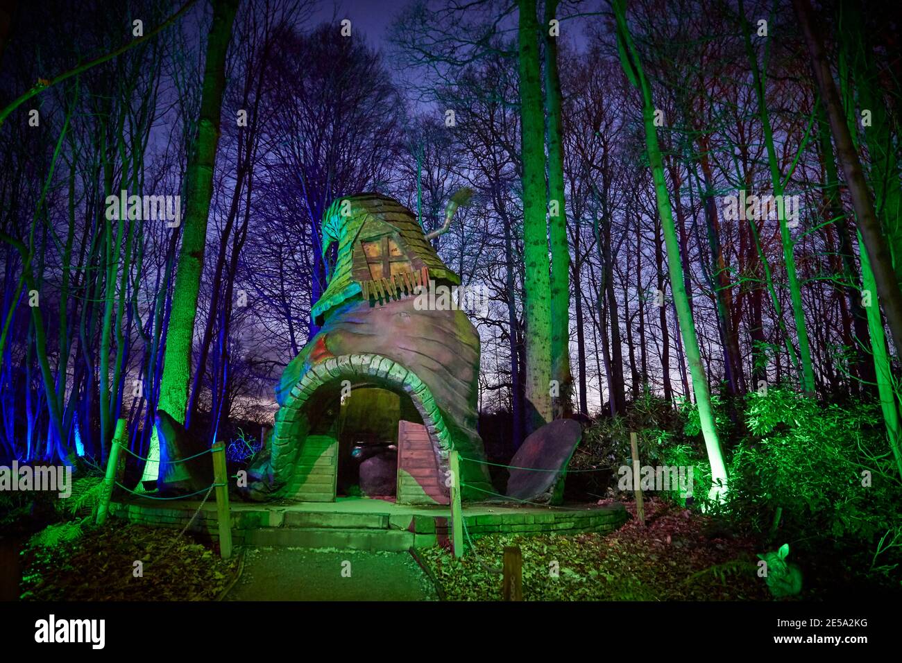 Enchanted Forest im Stockeld Park bei Wetherby Stockfoto