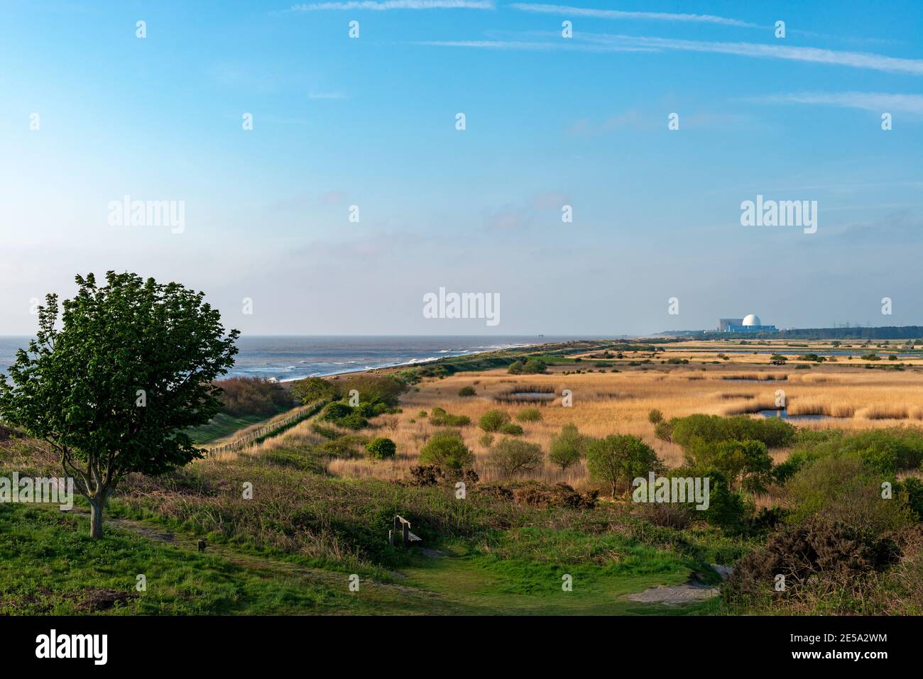 Dunwich Heide Suffolk England Stockfoto