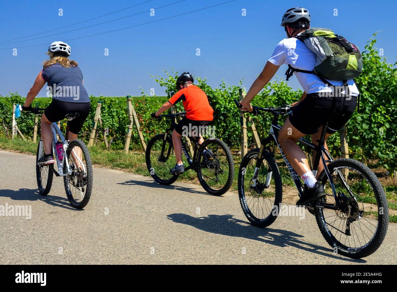 Familie Fahrrad fahren durch die Weinberge, Südmähren Tschechische Republik Mann Frau Kind Eltern Radfahren Stockfoto