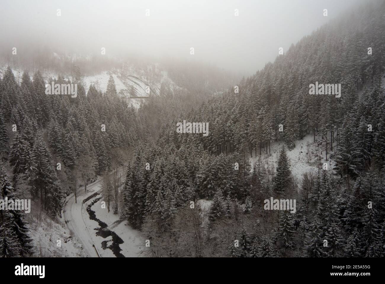 Blick auf ein Tal mit einem Bach zwischen verschneiten Fichtenwald mit Nebel in der Ferne Stockfoto