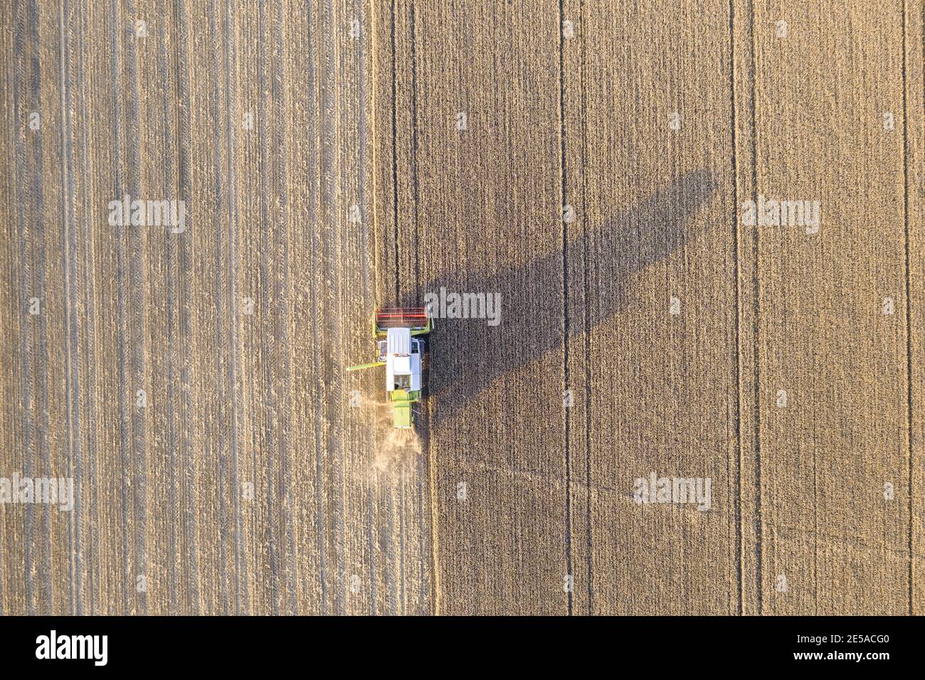 Top down Luftaufnahme eines Erntemaschinen, der Weizen auf ernten Ein landwirtschaftliches Feld in Finnland Stockfoto