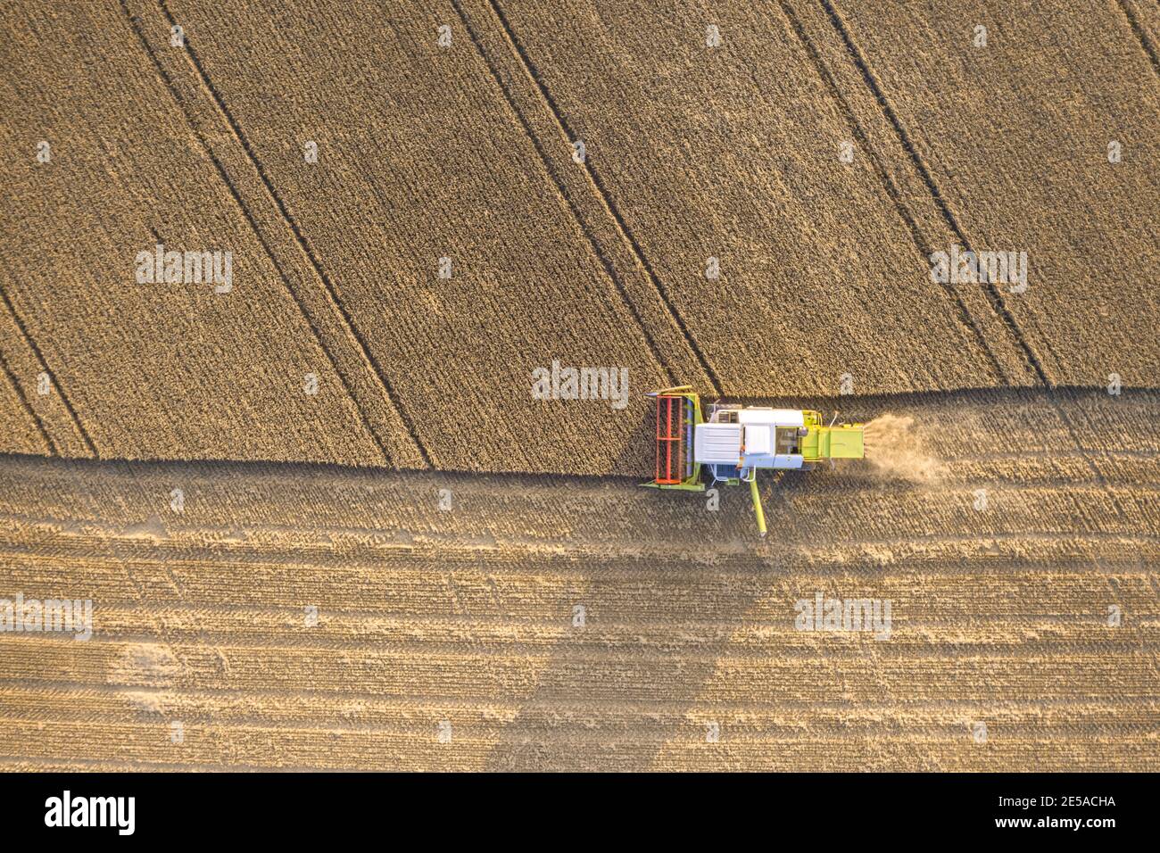 Top down Luftaufnahme eines Erntemaschinen, der Weizen auf ernten Ein landwirtschaftliches Feld in Finnland Stockfoto