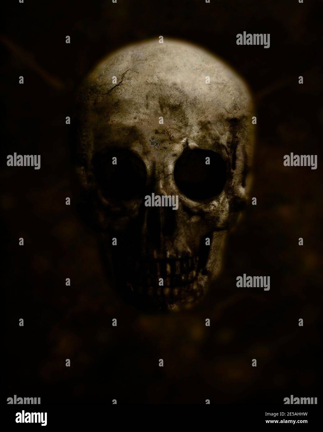 Scary Grunge Skull isoliert auf grauem Hintergrund Design für T-Shirt Drucken Sie mit Totenkopf Halloween Tapete Stockfoto