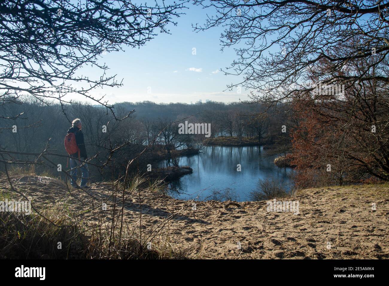 Natur in Kijfhoek und Bierlap, zwei Schutzgebiete in Meyendel, Holland Stockfoto