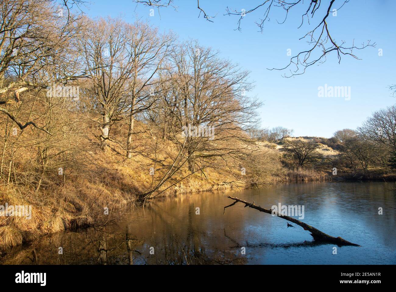 Natur in Kijfhoek und Bierlap, zwei Schutzgebiete in Meyendel, Holland Stockfoto