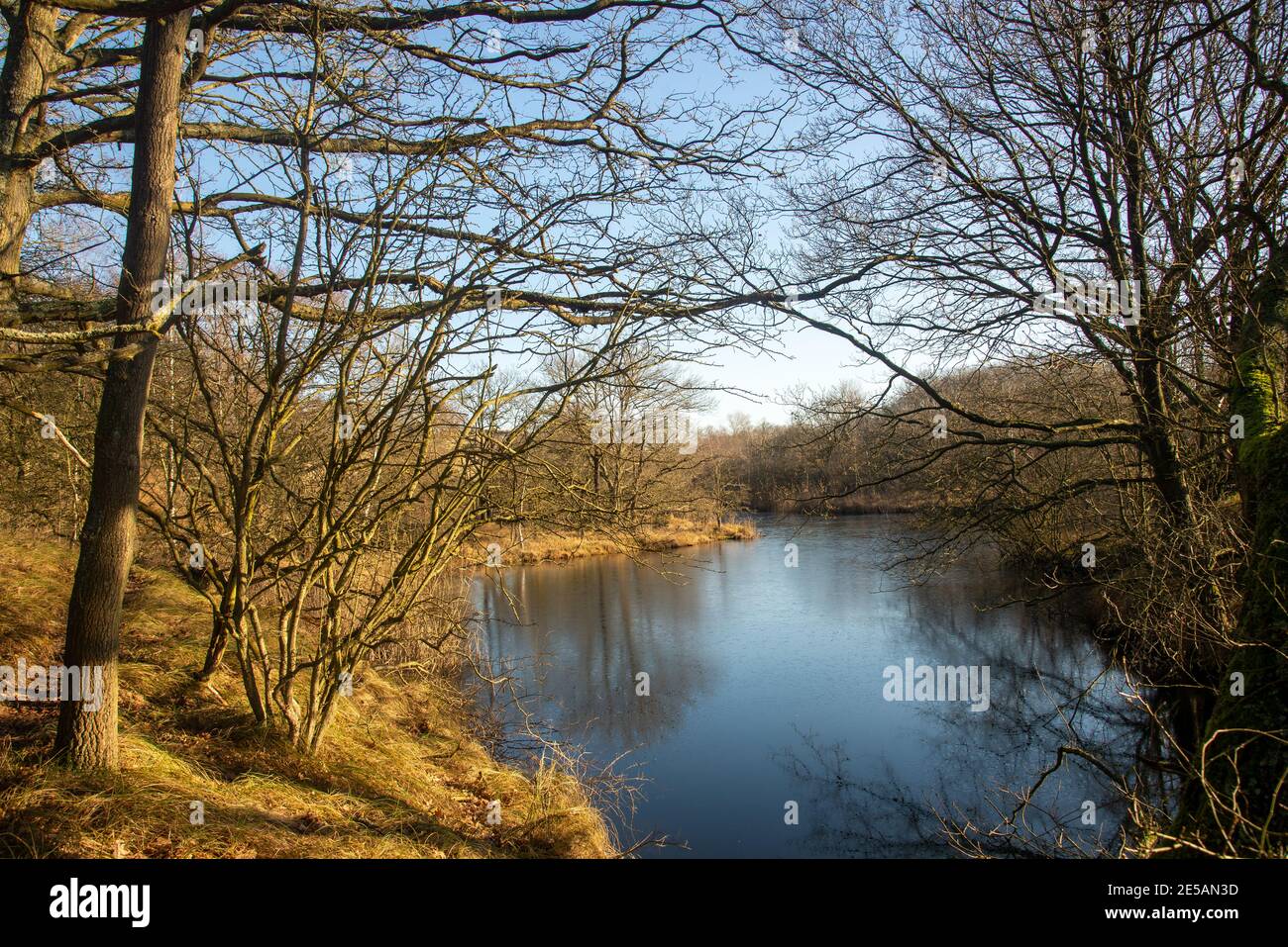 Natur in Kijfhoek und Bierlap, zwei Schutzgebiete in Meyendel, Holland Stockfoto