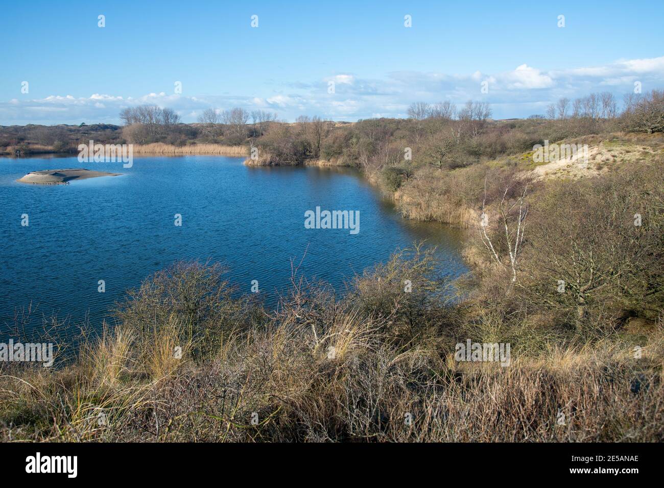 Natur in Kijfhoek und Bierlap, zwei Schutzgebiete in Meyendel, Holland Stockfoto