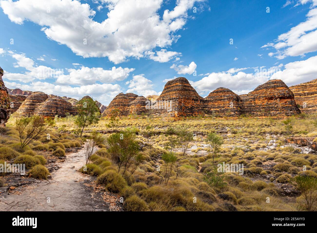 Bungle Bungles, Purnululu National Park, Kimberley Region, Western Australia, Australien Stockfoto