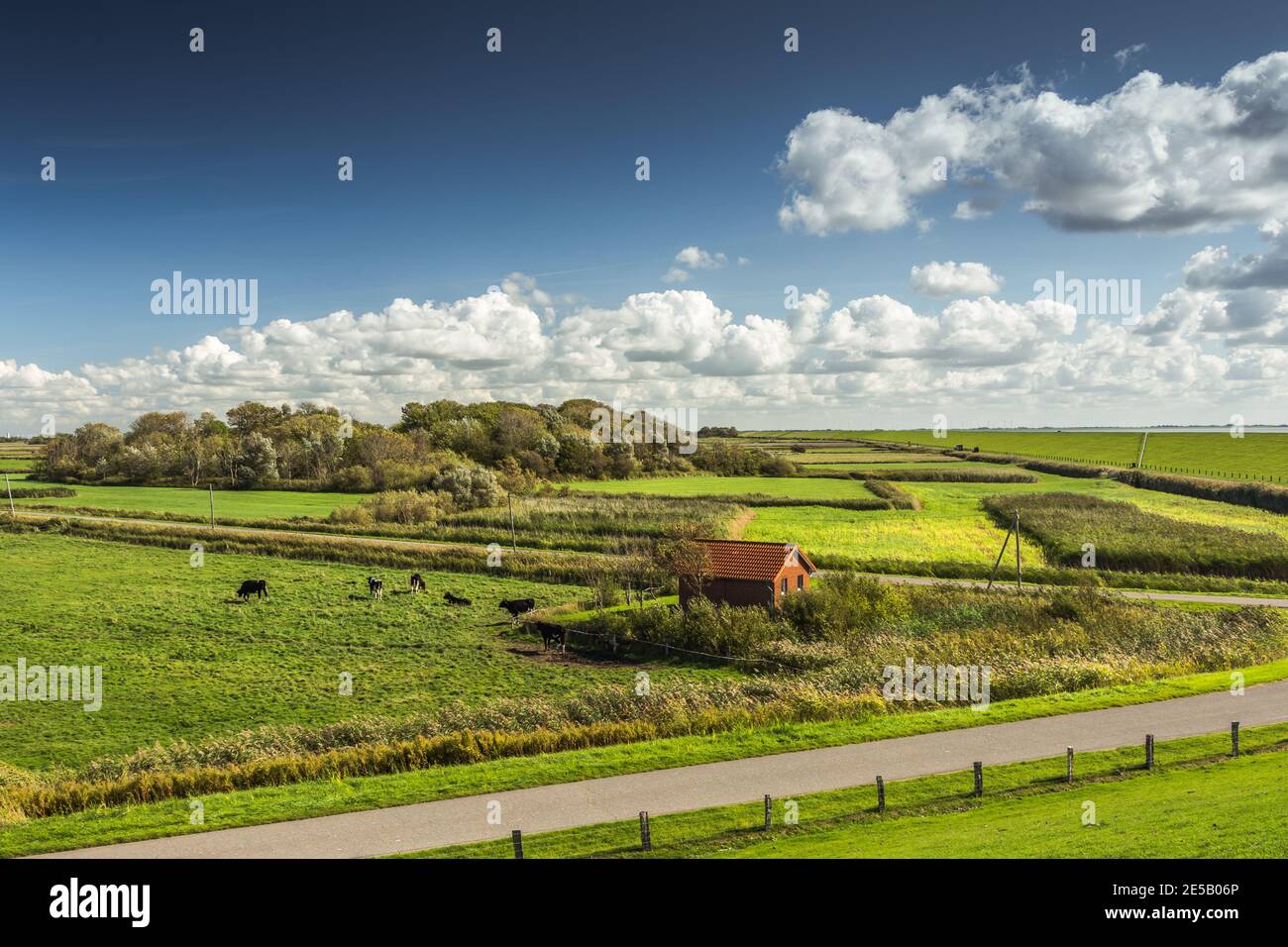 Typische Landschaft mit Weiden, Nordstrand Halbinsel, Nordfriesland, Schleswig-Holstein, Deutschland Stockfoto