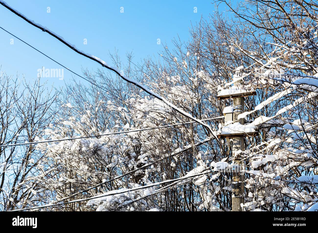 Verschneiten Äste von Bäumen und Betonmast der Stromleitung Im Dorf am sonnigen Wintertag Stockfoto
