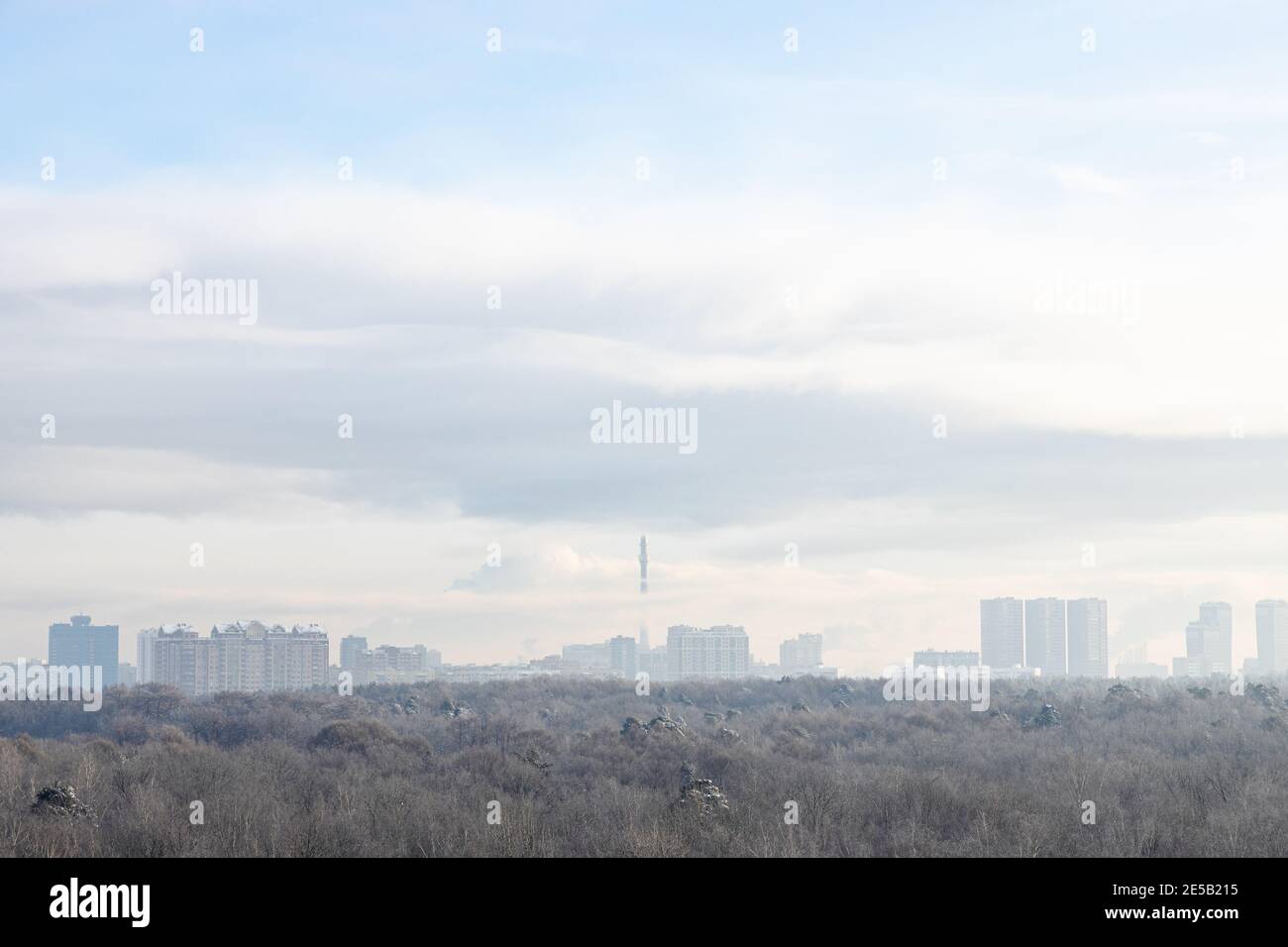 Blick auf Wald und Stadt am Horizont im kalten Winter Morgen Stockfoto