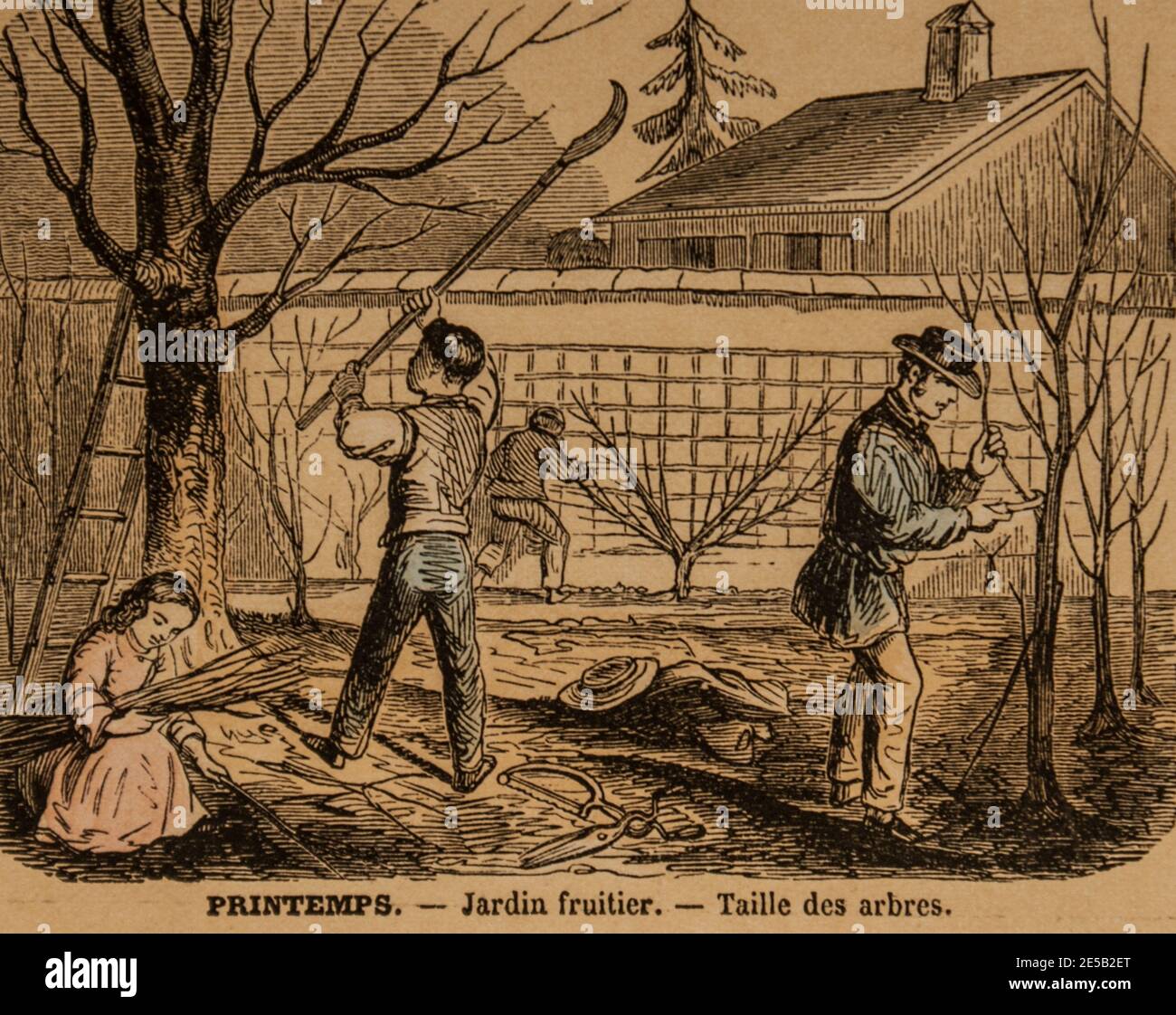 le jardinage, imagerie populaire pour l'Education des ecoliers,editeur ernest meyer 1900 Stockfoto