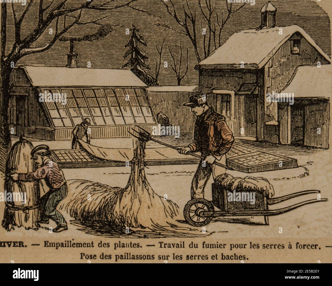 le jardinage, imagerie populaire pour l'Education des ecoliers,editeur ernest meyer 1900 Stockfoto