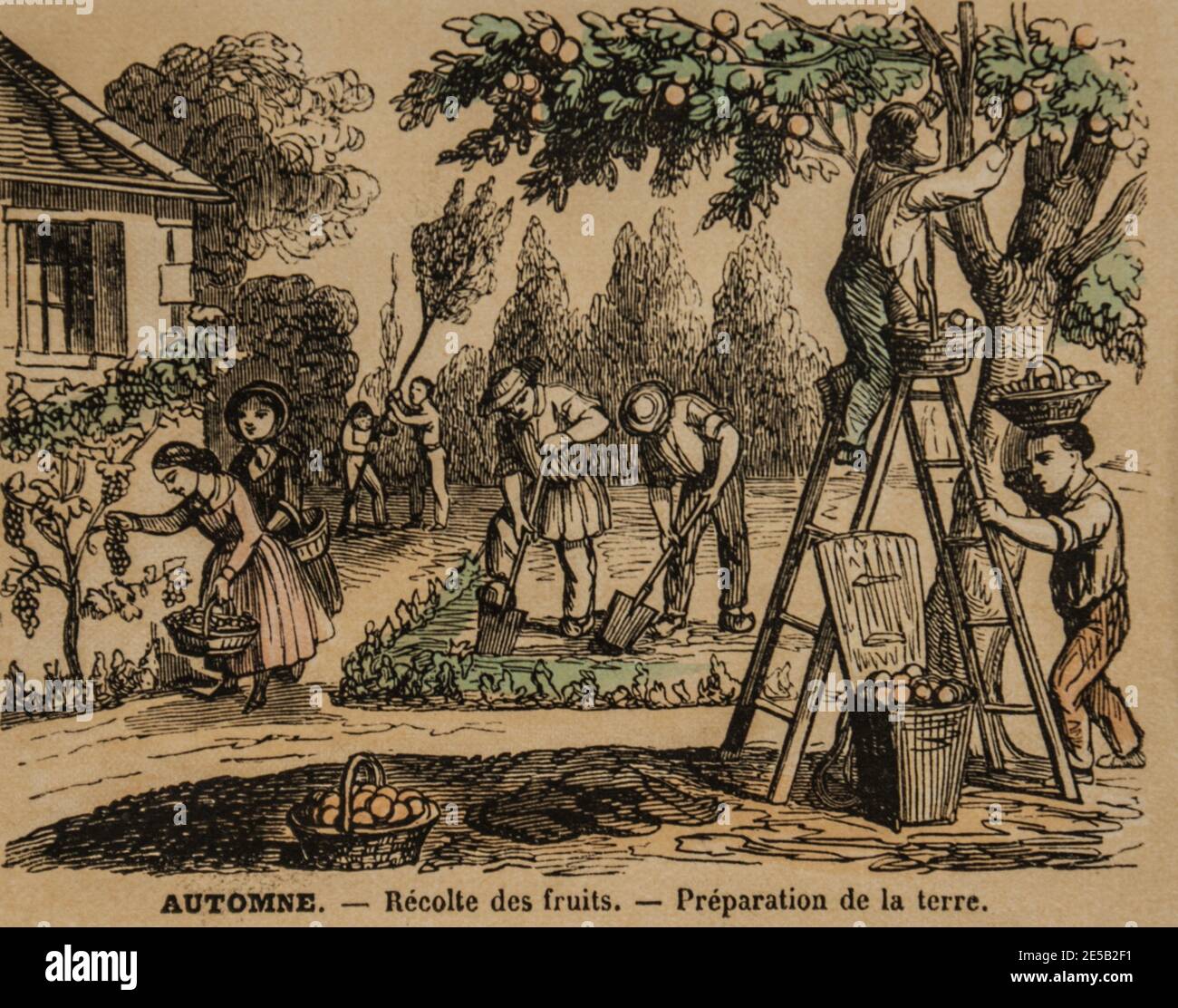 le jardinage, imagerie populaire pour l'Education des ecoliers,editeur ernest meyer 1900 Stockfoto