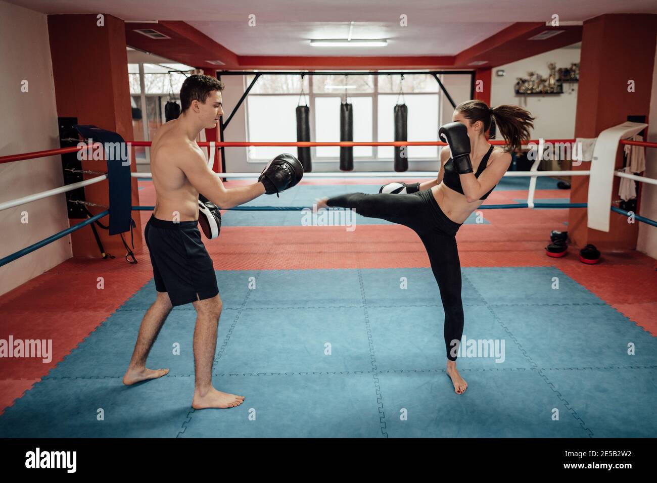 Ein männlicher und ein weiblicher Boxer beim Training tritt und schlägt in einen Boxring. Ein Kickboxtrainer, der mit einer weiblichen Kickboxerin im Fitnessstudio trainiert. Stockfoto