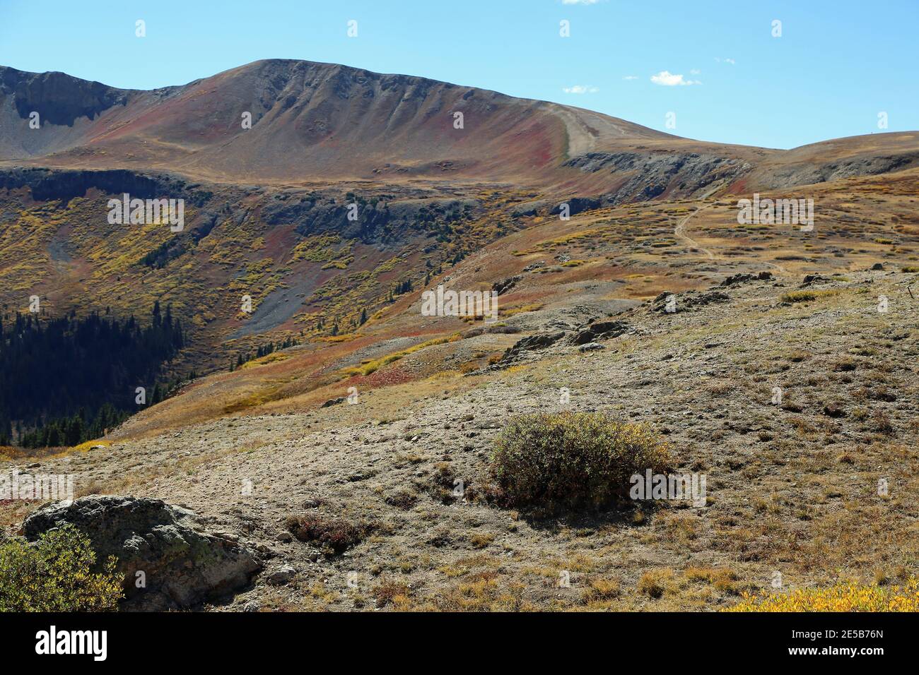 Trail auf Independence Pass - Rocky Mountains, Colorado Stockfoto