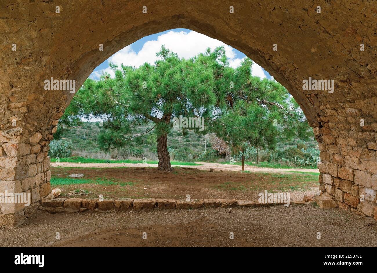 Ruinen der alten Festung von Belvoir, Israel Stockfoto