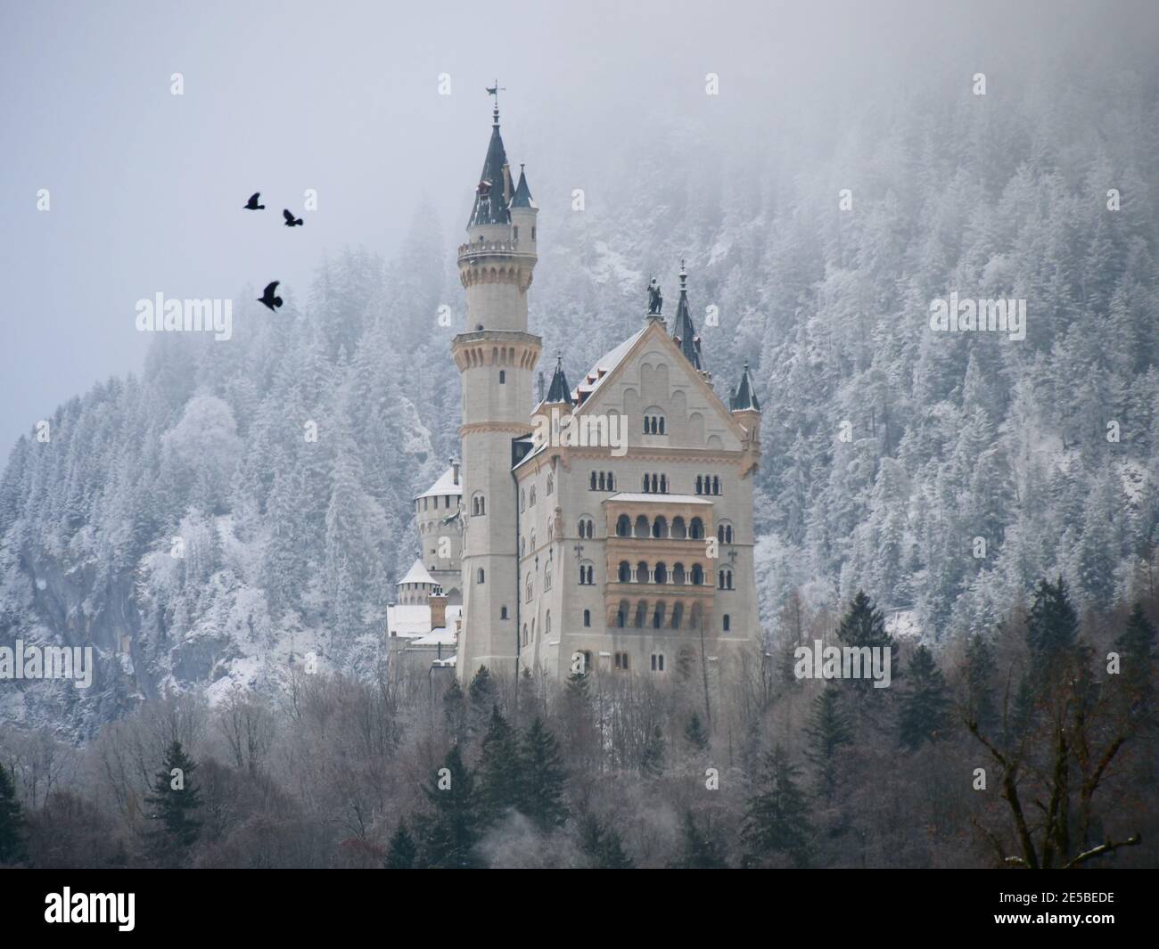 Füssen, Deutschland: Schloss Neuschwanstein im Winter Stockfoto