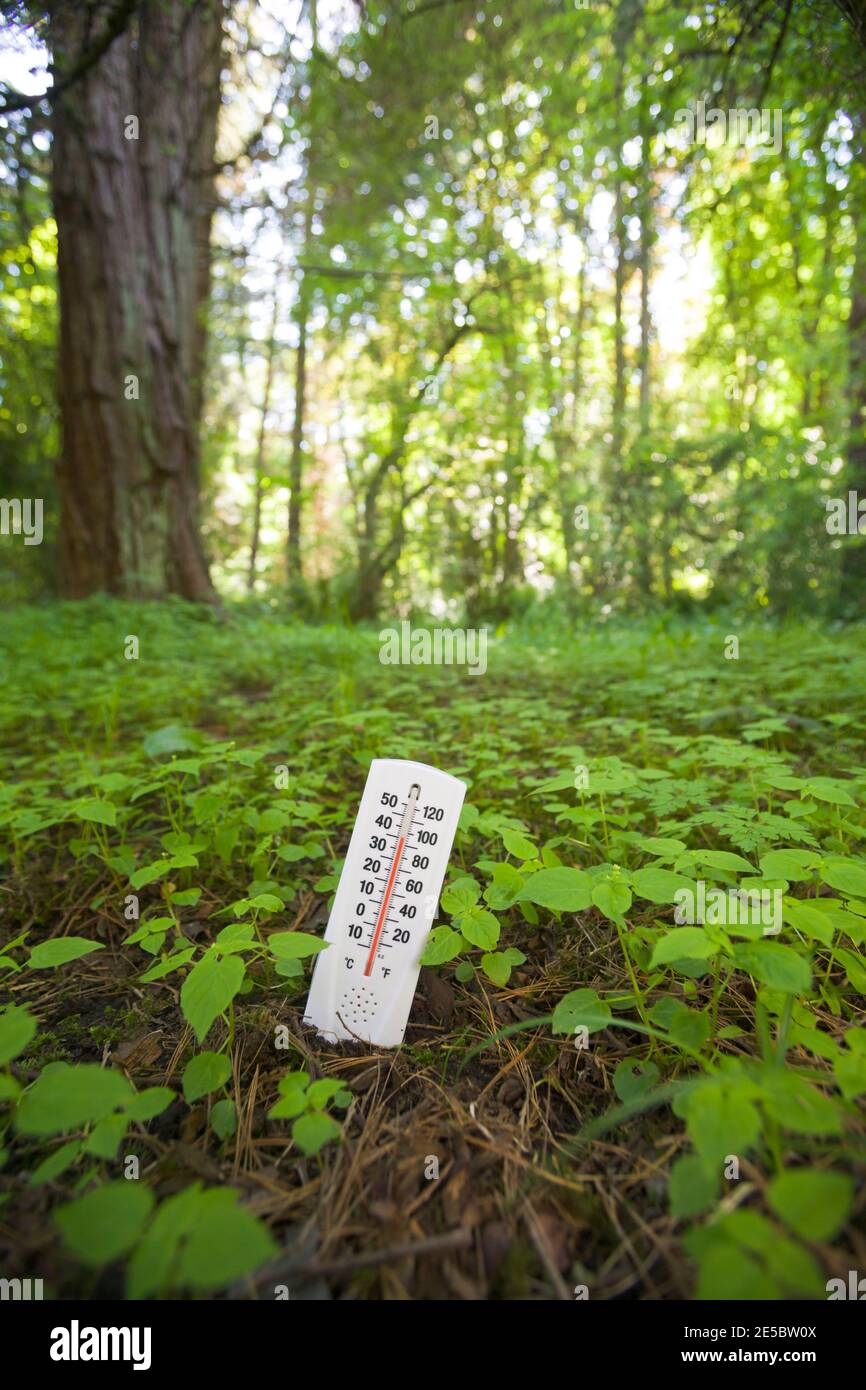 Ein konzeptuelles Bild eines Thermometers, das im Boden steckt und eine hohe Temperatur zeigt, die den globalen Klimawandel / die globale Erwärmung veranschaulicht. Stockfoto
