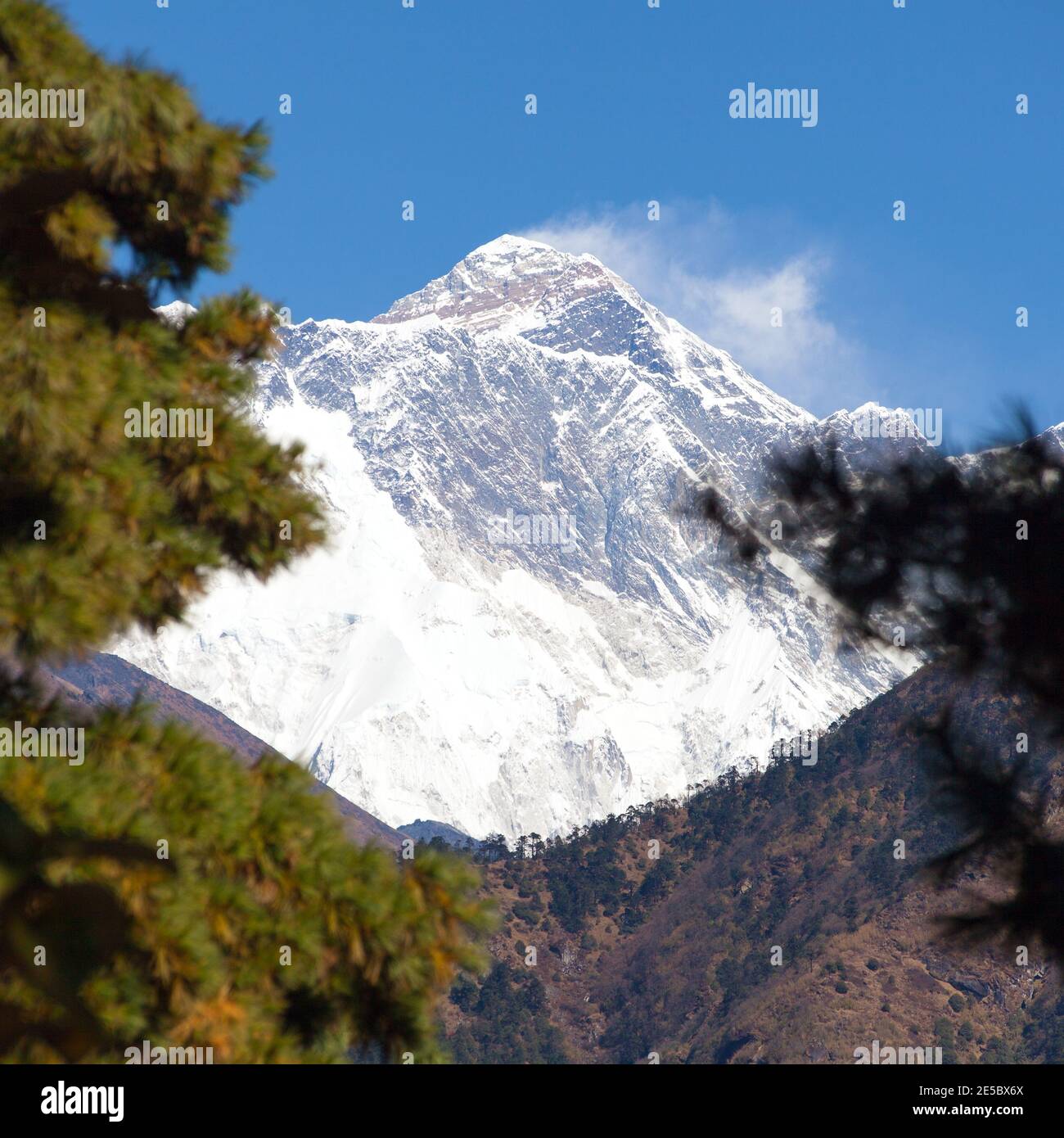 Blick auf den Mount Everest bei Namche Bazar in der Mitte Pinien, Khumbu Tal, Solukhumbu, Sagarmatha Nationalpark, Himalaya, Nepal Stockfoto