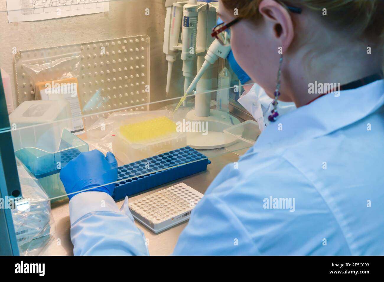 Arbeitsplatz des Labormitarbeiters. Ausrüstung für die biologische Forschung. Stockfoto