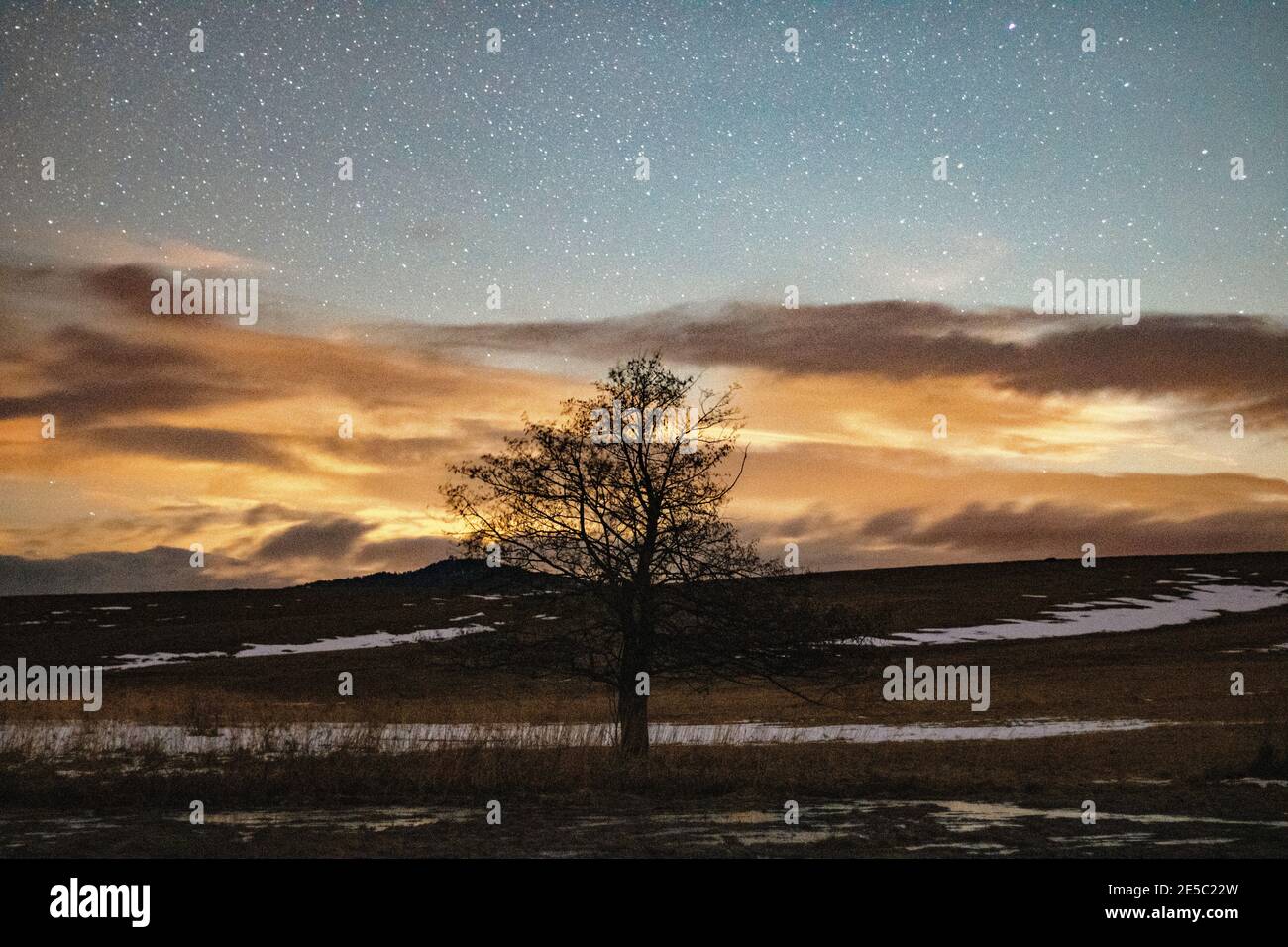 Winter Berglandschaft, Langzeitbelichtung Nachtfotografie, einsamer Baum und helle Sterne über ihnen Stockfoto