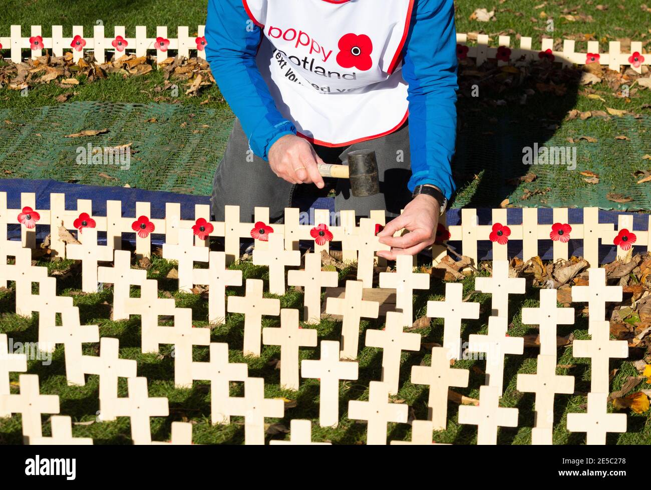 Mohnblumen auf Holzkreuzen. Poppy Appeal Remembrance Day Großbritannien Stockfoto