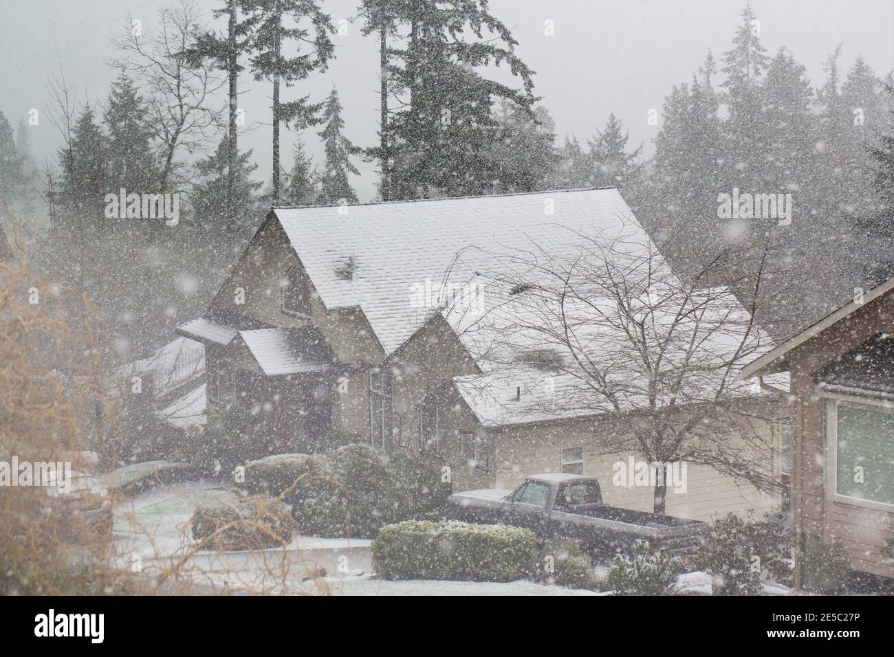 Schnee fällt in einem südwestlichen Hügel Nachbarschaft in Eugene, Oregon. Stockfoto