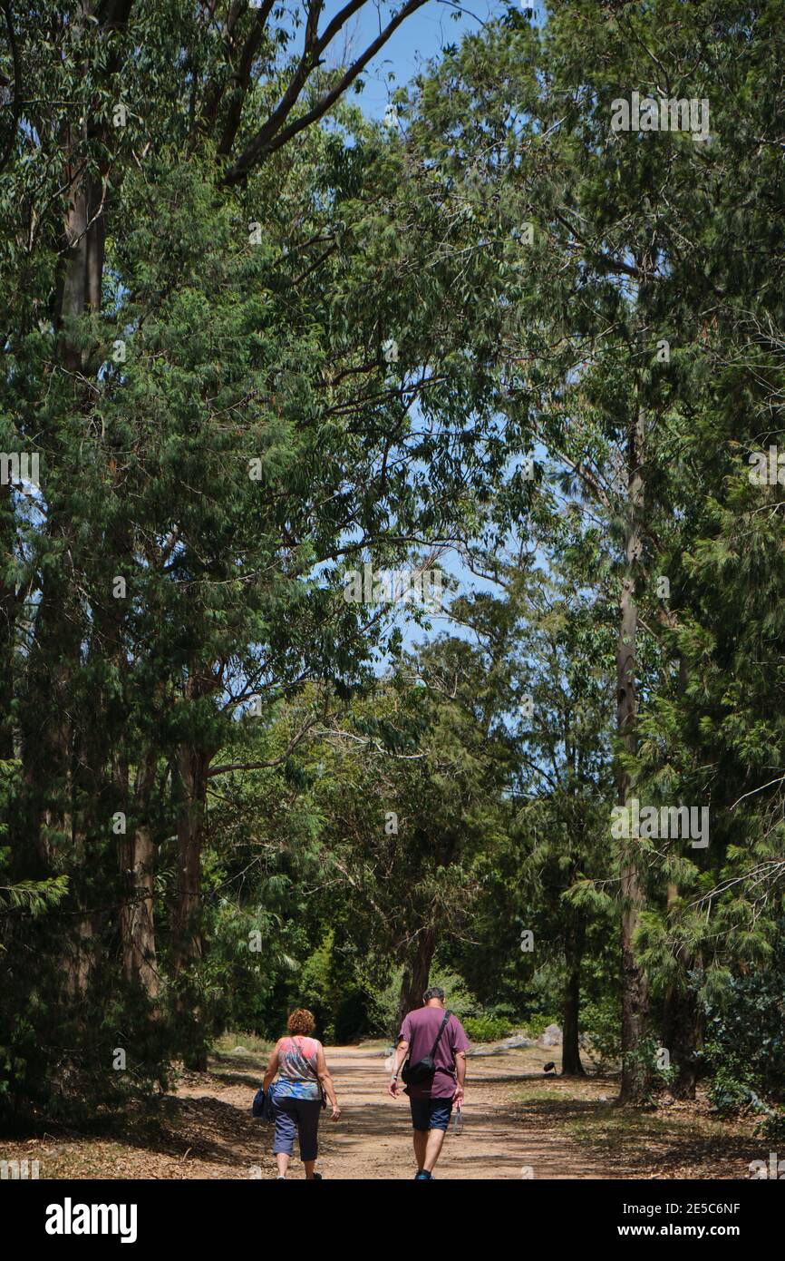 Ein erwachsenes Paar, das durch einen Pfad zwischen den Bäumen geht Des Arboretum Lussich Stockfoto
