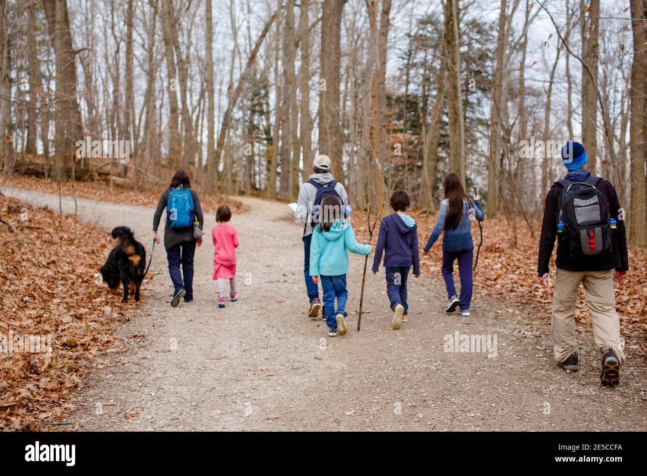 Eine ausgedehnte Familienwanderung mit Hund auf Schotter Weg durch den Wald Stockfoto