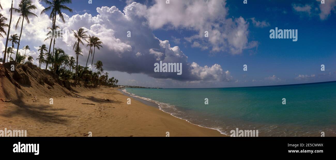 Nevis St. Kitts Pinney's Beach * leerer Strand Stockfoto