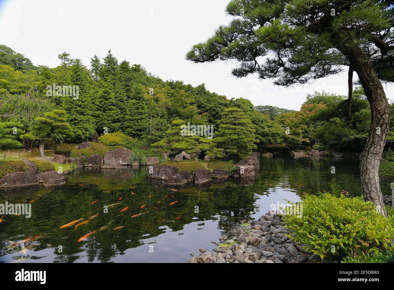 Koi fische rot Fotos und Bildmaterial in hoher Auflösung Seite 3